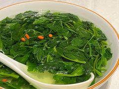 -峨嵋酒家 南北川菜 优选烤鸭(广渠路店)