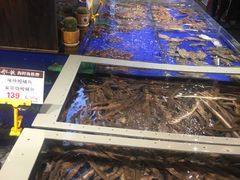 -船歌·鱼水饺青岛菜(闽江二路店)