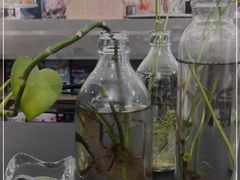 -DK45丹麦家居生活馆·依诺维绅(798店)