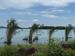 -长广溪湿地公园