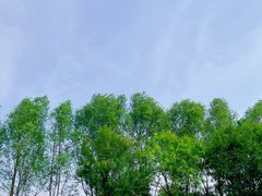 -渭河城市绿地运动公园