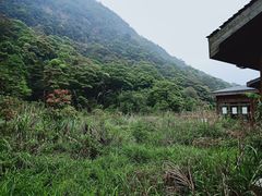 -广州市石门国家森林公园