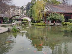 -柳侯公园