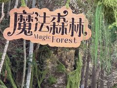 -龙湾潭国家森林公园