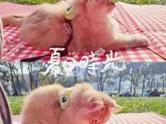 -重庆中央公园(渝北区)