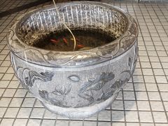 -福茂源横山铁锅羊肉(牡丹园店)