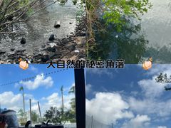 -万绿园
