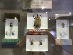 -上海昆虫博物馆