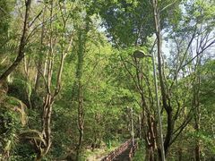 -水濂山森林公园