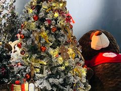 -咖法森林·咖啡  酒吧(天河店)