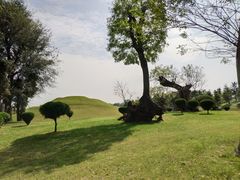 -南通洲际绿博园