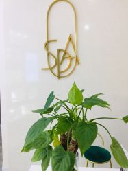 -0 SPA科技美肤·Valmont法儿曼品牌