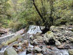 -西岭雪山大飞水景区