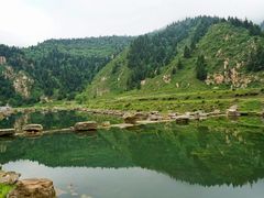 -芦芽山旅游度假区