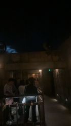 -翱翔飞越地平线