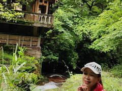 -中国大熊猫保护研究中心雅安碧峰峡基地