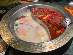 -麻田会 ·鲜活现烹·牛蛙火锅(珠江新城维家思广场店)