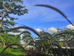 -深圳市人才园(深南大道店)