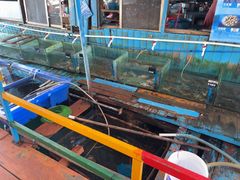 -蓝湾碧波·老字号·疍家非遗海上餐厅