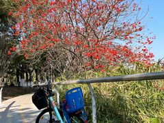 -西昌邛海湿地