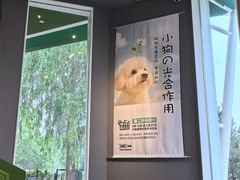 -爪吧宠物乐园 (温榆河示范区店)