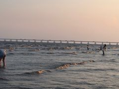 -南汇嘴观海公园