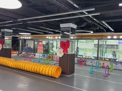 -全心全意动物诊疗中心医院(北苑店)