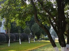 -广西师范大学(育才校区)