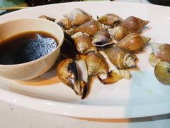 白灼东风螺-量贩海鲜餐厅