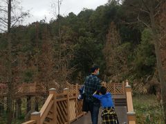 -神光山国家森林公园