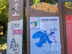 -洛阳白云山景区