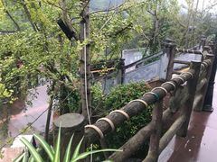 -楠柏弯休闲山庄(梨花溪店)