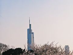 -紫峰大厦