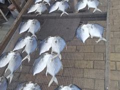 -南沙十九涌渔人码头-南门