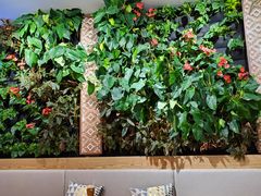 -Peet's Coffee皮爷咖啡(德基店)