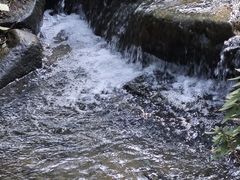 -中国茶叶博物馆(双峰馆区)