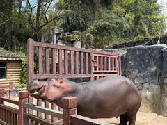 -贵州森林野生动物园