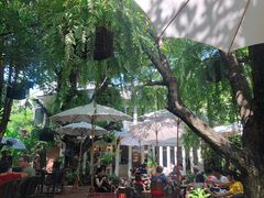 -Fern Forest Cafe