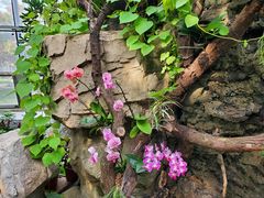 -北京植物园-展览温室