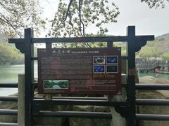 -白马涧龙池景区