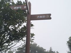 -梧桐山风景名胜区