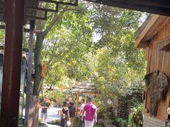 -青城甲(青城山店)