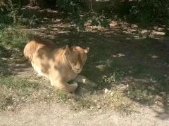 -哈尔滨北方森林动物园