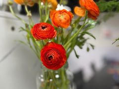 -万达广场(南宁青秀店)