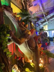 -恐龙探索乐园(磁器口店)