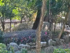 -九龙寨城公园