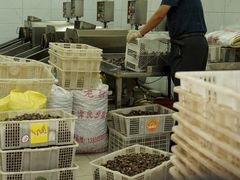 -阿男野栗王(金门路店)