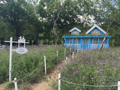 景点-沈阳植物园