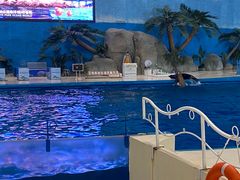 -泉城欧乐堡海洋极地世界