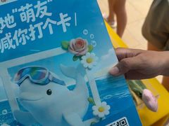 -海合安成都极地海洋公园